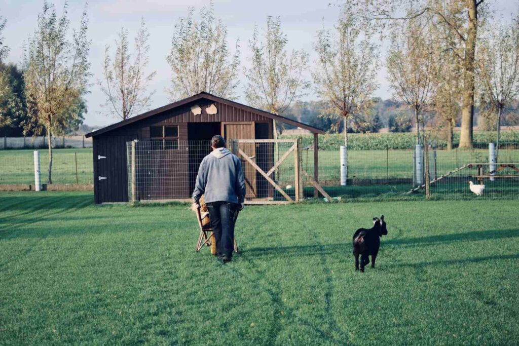 abri de jardin pas cher belgique
