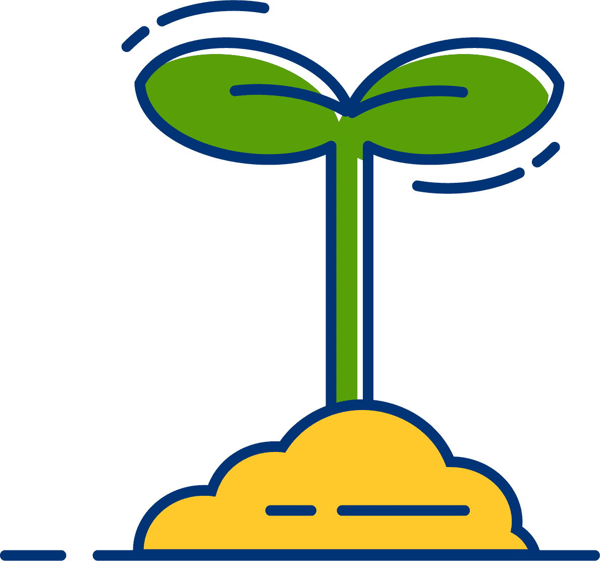 creation jardin service