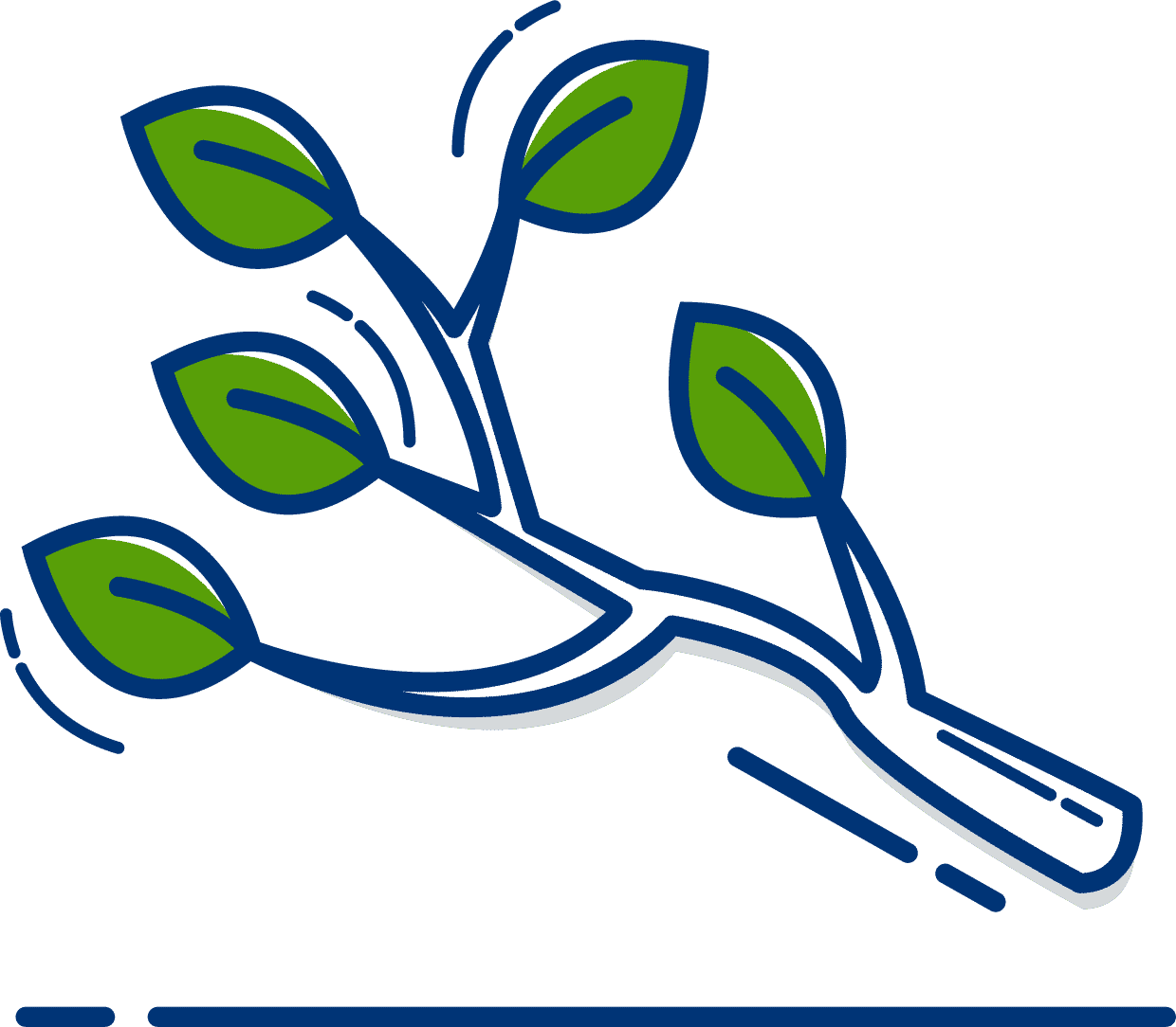 taille de haie service