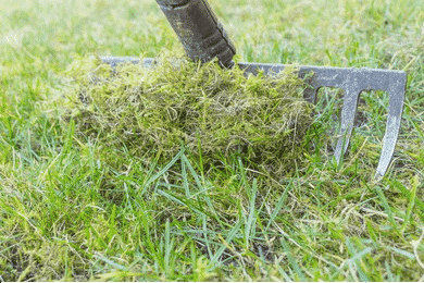 Nettoyage espace vert,espace vert,nettoyage