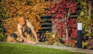 amenagement jardin urbain