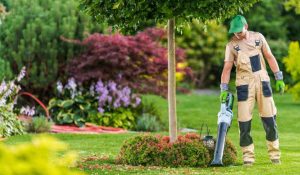 entretien jardin charleroi